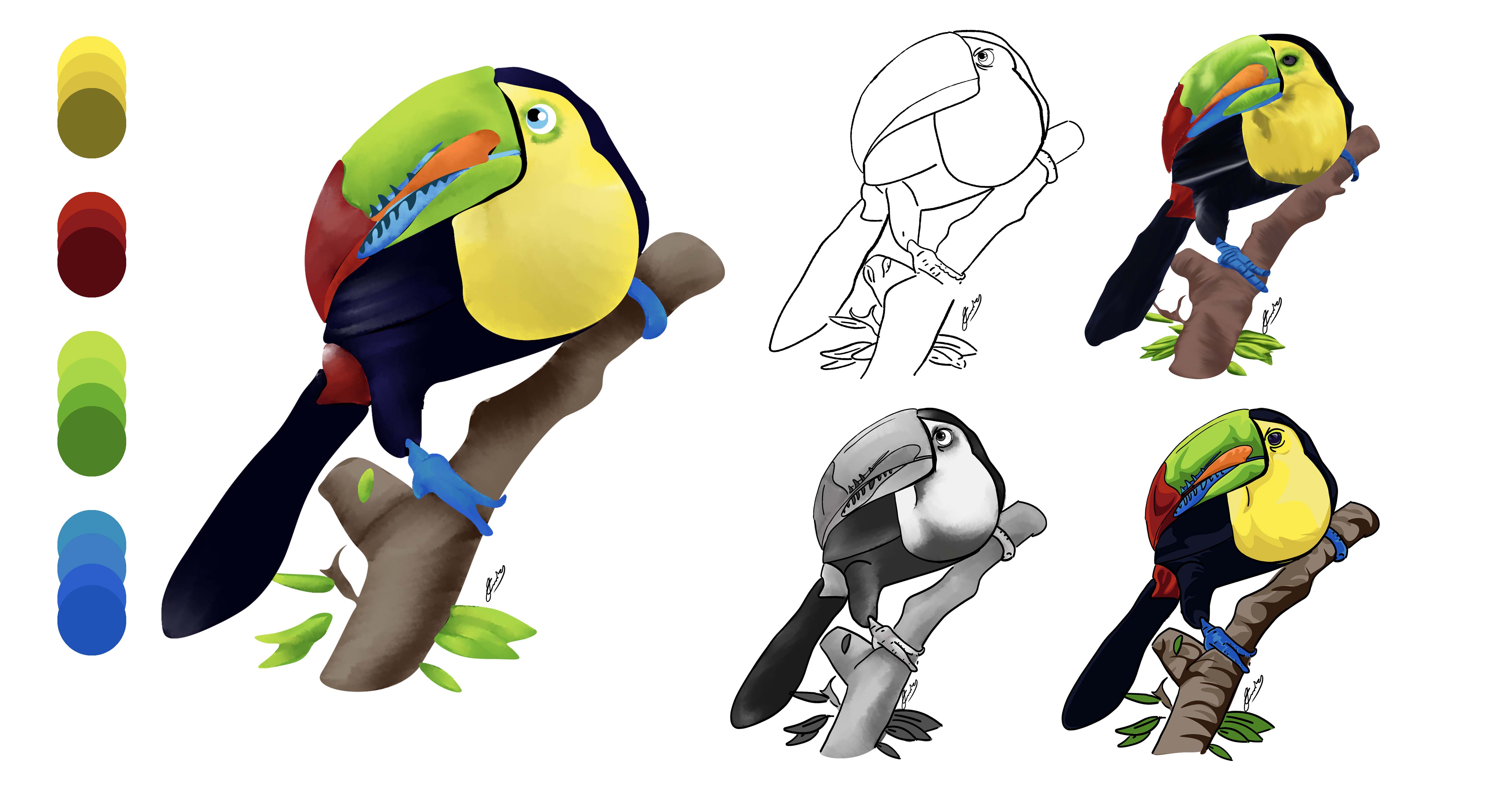 Birds