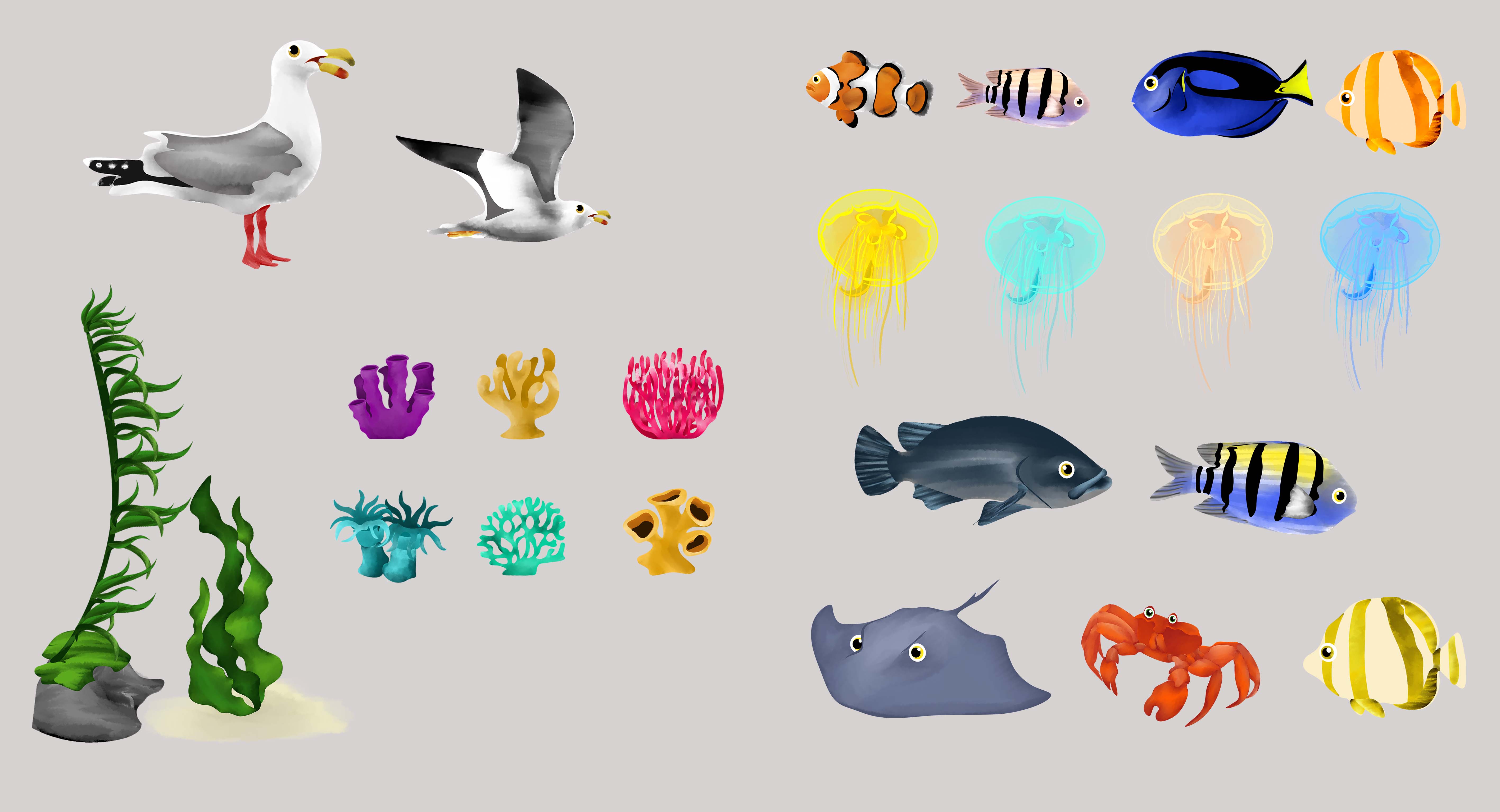sea life